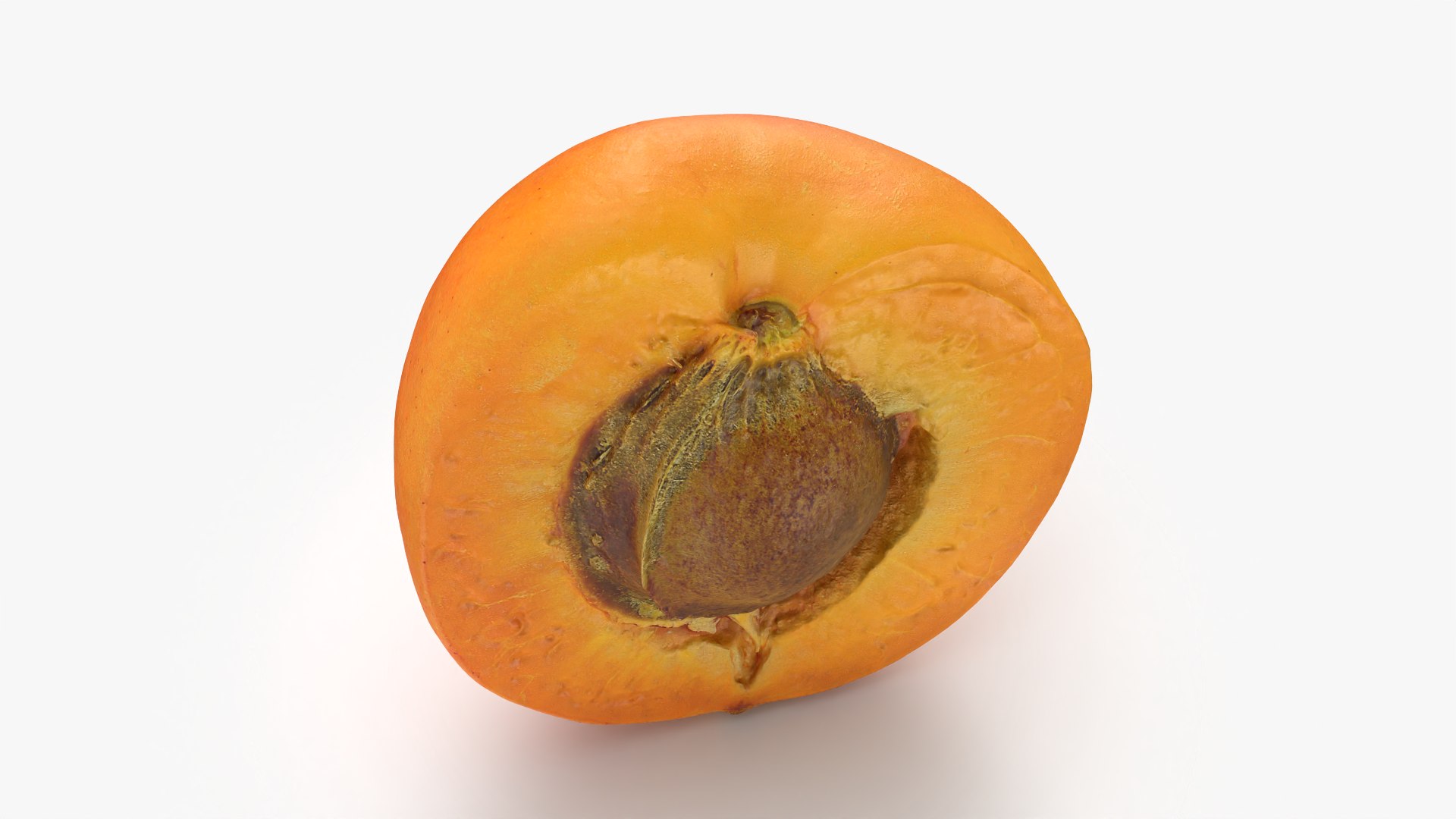 3D Half Apricot with Pit - 3D Scanned model https://p.turbosquid.com/ts-thumb/Wv/MupEw0/rb/apricotcut02_0003/png/1783943478/1920x1080/fit_q87/a99a30c91ceac5dc0dec0f08293aeaec420b7c2b/apricotcut02_0003.jpg