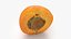 Half Apricot with Pit - 3D Scanned