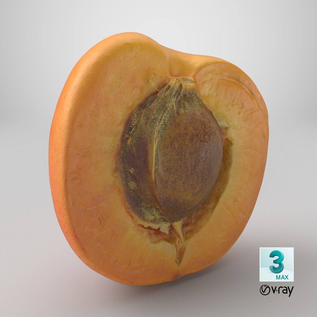 3D Half Apricot with Pit - 3D Scanned model https://p.turbosquid.com/ts-thumb/Wv/MupEw0/uu/stemcell_max_vray_render/png/1784734676/1920x1080/fit_q87/34828f428d2b2c1c903ca3b0786add5a290b4636/stemcell_max_vray_render.jpg