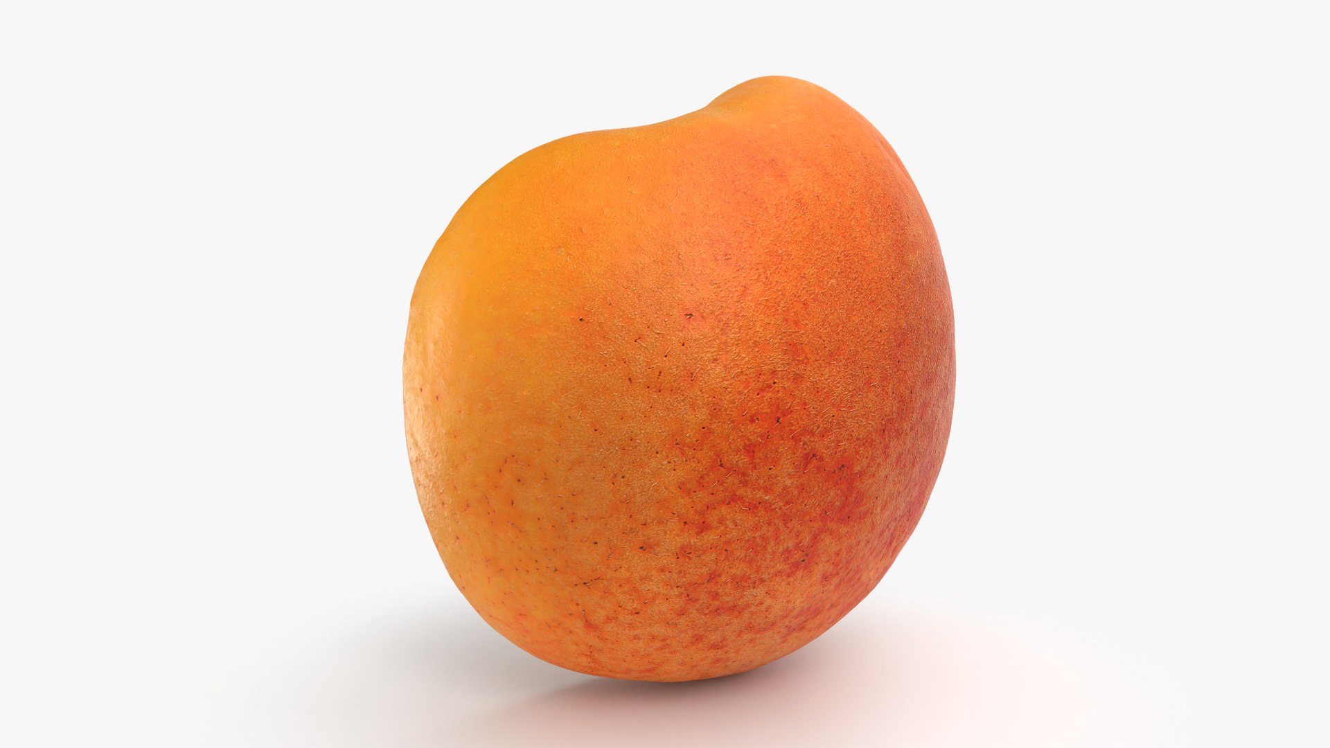 3D Half Apricot with Pit - 3D Scanned model https://p.turbosquid.com/ts-thumb/Wv/MupEw0/xC/apricotcut02_0006/png/1783943486/1920x1080/fit_q87/9042d99d87575a2795a0cc0e013ff0e5dda9790f/apricotcut02_0006.jpg