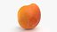 Half Apricot with Pit - 3D Scanned