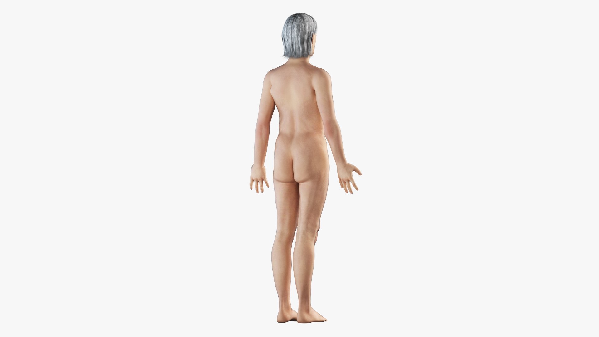 skin elder female skeleton 3D model https://p.turbosquid.com/ts-thumb/Wv/VYcTsS/FraxfxVZ/elder_female_body0006/jpg/1569005507/1920x1080/fit_q87/a6931696f447682068a527ccf4f9d3d2a5845af3/elder_female_body0006.jpg