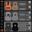 Old Guitar