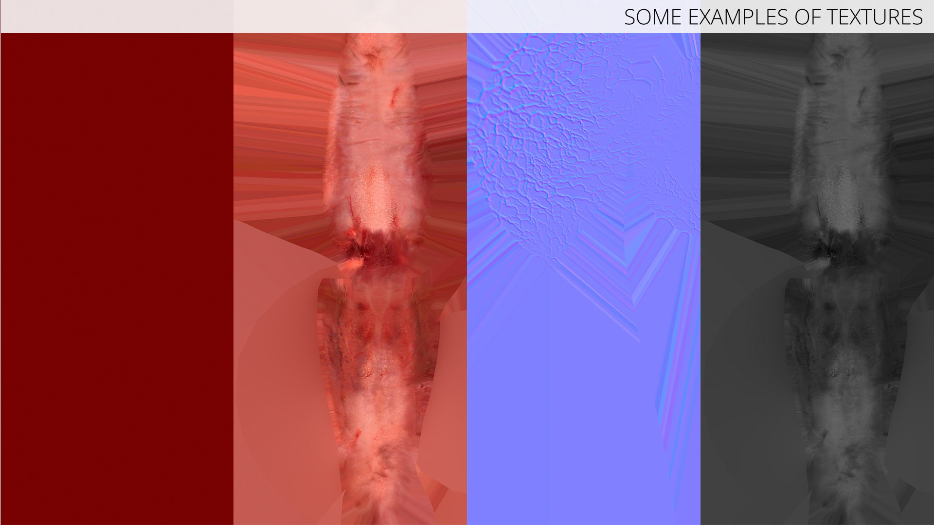 3D Slaughtered Pig Carcass Hanging for Blender https://p.turbosquid.com/ts-thumb/Wv/ljmnH0/YG/slaughtered_pig_carcass_hanging_for_blender_014/jpg/1765152713/1920x1080/fit_q87/5d64586e8ce21d1182edb1502f40cbd5f911a2e2/slaughtered_pig_carcass_hanging_for_blender_014.jpg