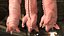 Slaughtered Pig Carcass Hanging for Blender