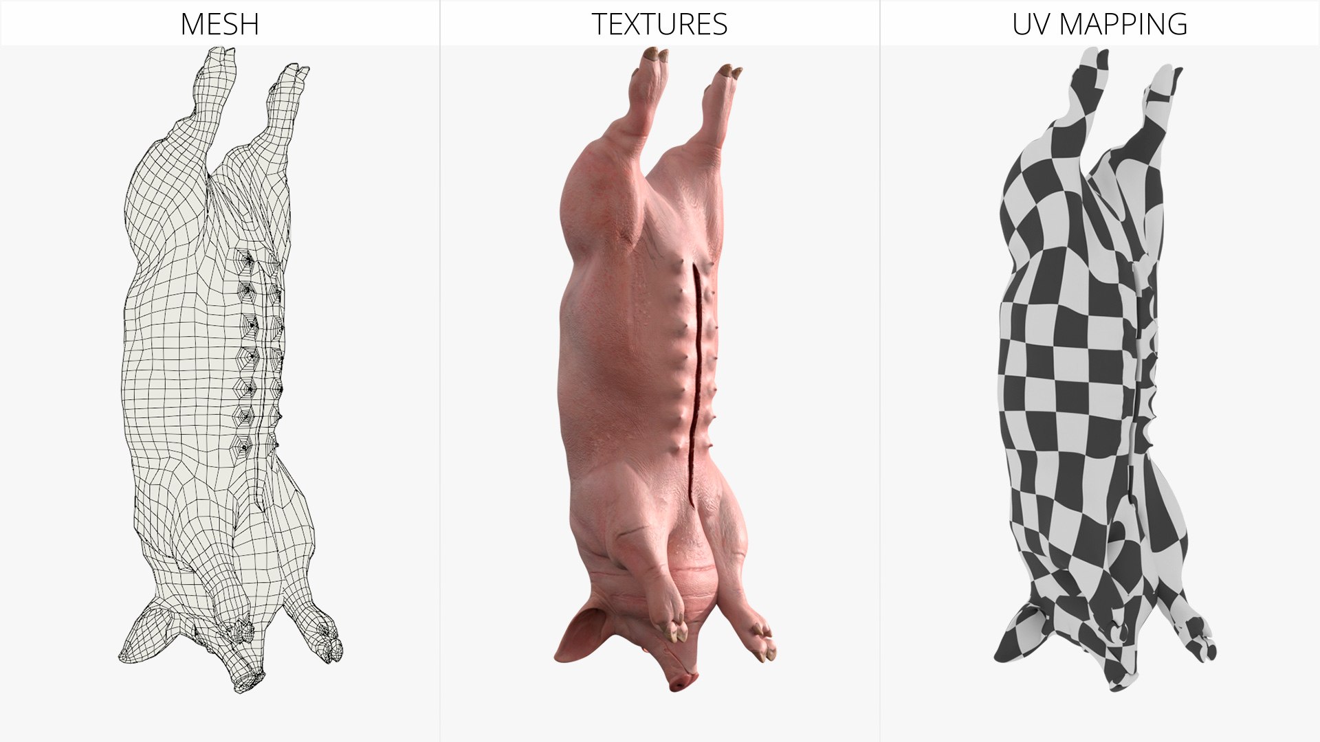 3D Slaughtered Pig Carcass Hanging for Blender https://p.turbosquid.com/ts-thumb/Wv/ljmnH0/mb/slaughtered_pig_carcass_hanging_for_blender_008/jpg/1765152695/1920x1080/fit_q87/3bfc6e2e49c2a23854e92dfae8a2d92293a2dc01/slaughtered_pig_carcass_hanging_for_blender_008.jpg
