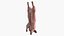 Slaughtered Pig Carcass Hanging for Blender