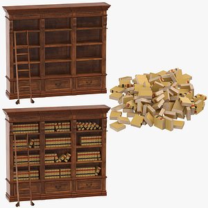 Law Shelves and Books