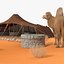 Campo nel deserto con cammello e tenda in pelliccia