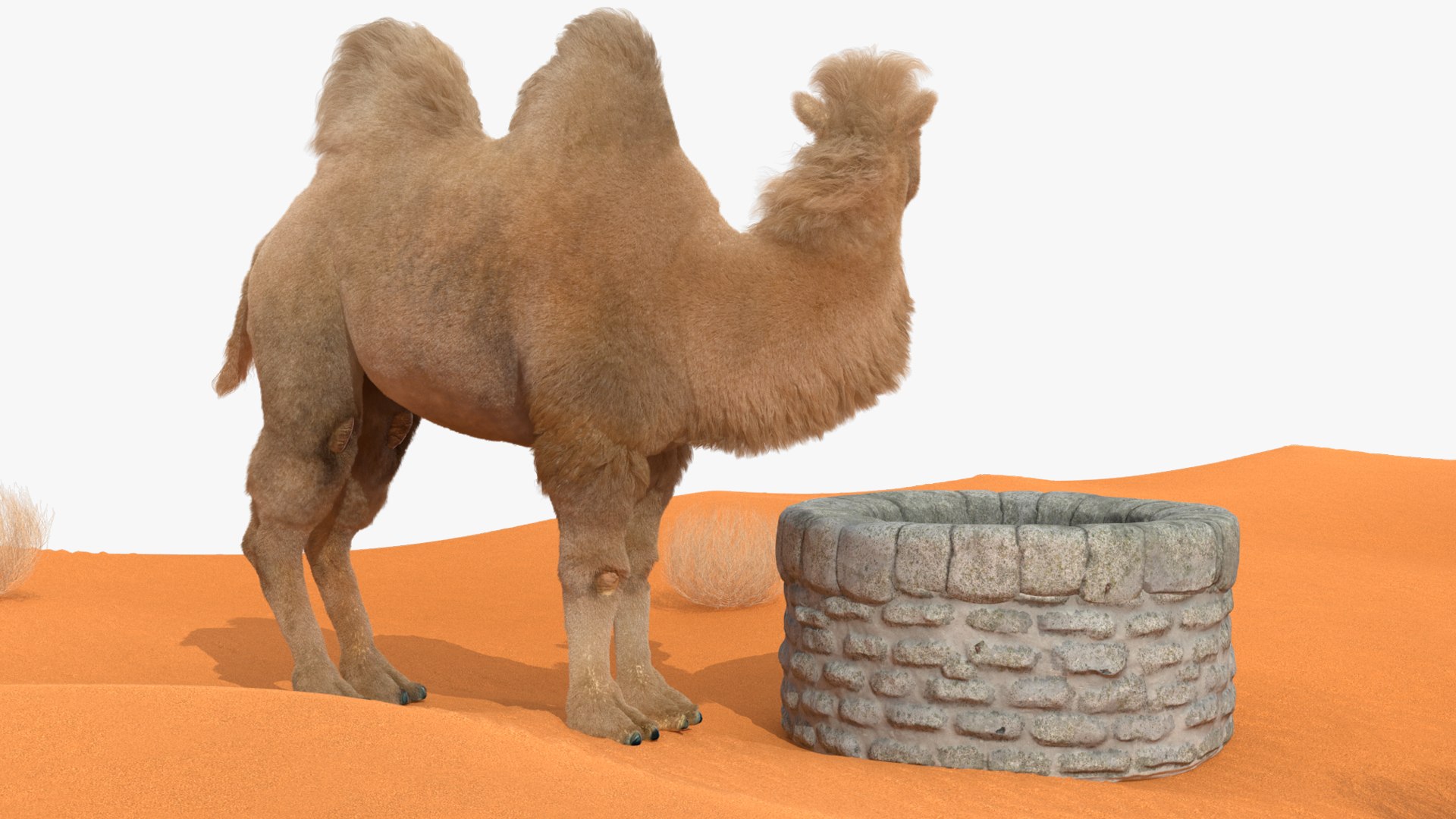 Desert Camp with Camel and Tent Fur model https://p.turbosquid.com/ts-thumb/Wv/m2HKkc/op/desertcampwithcamelandtentfur3dmodel018/jpg/1724878615/1920x1080/fit_q87/b201e7e92b331c055467826852b6cc508460a71e/desertcampwithcamelandtentfur3dmodel018.jpg