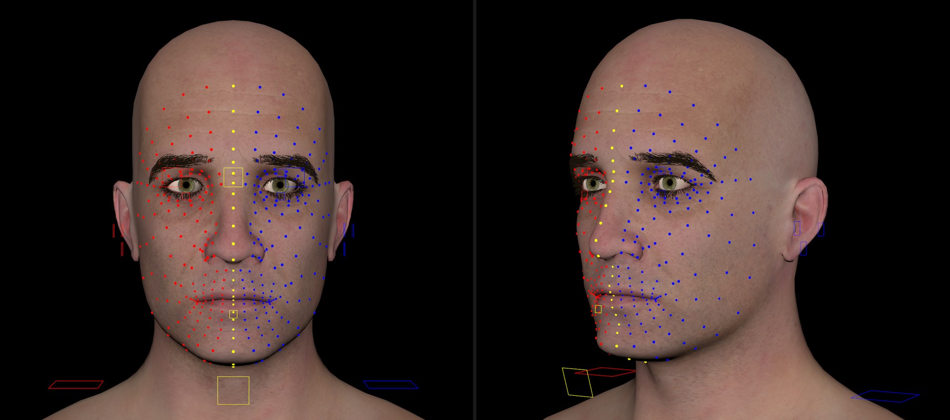 Male character animation rig 3D model - TurboSquid 1398951