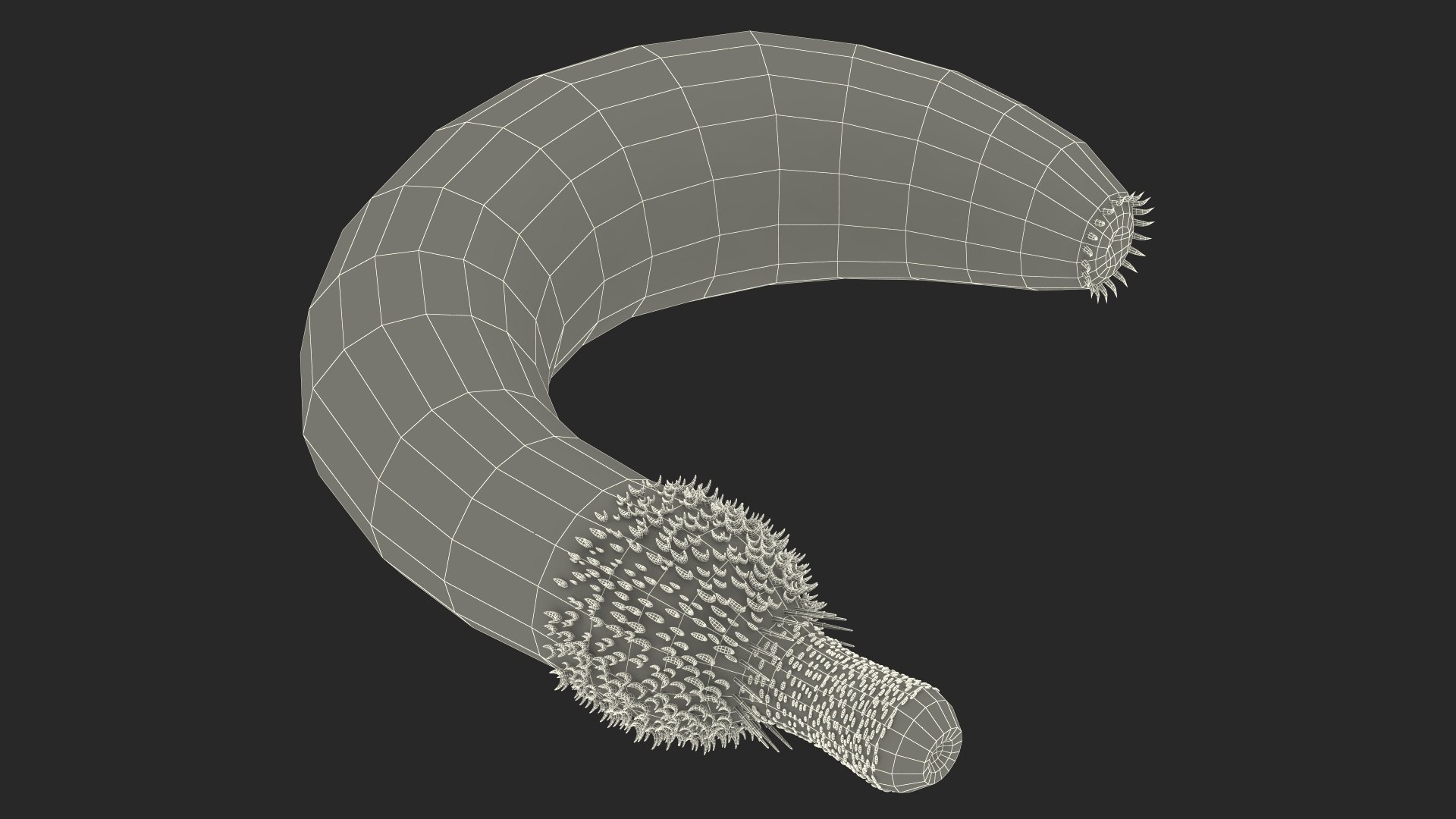 Ottoia Cambrian Sea Worm Fossil 3D model https://p.turbosquid.com/ts-thumb/Wv/xJkAzV/J5/ottoiacambrianseawormfossil3dmodel024/jpg/1705667272/1920x1080/fit_q87/c0204b5e03c9e109b6d31e6c6517325623b4a776/ottoiacambrianseawormfossil3dmodel024.jpg