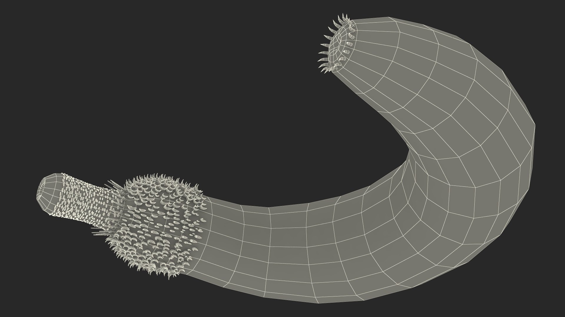 Ottoia Cambrian Sea Worm Fossil 3D model https://p.turbosquid.com/ts-thumb/Wv/xJkAzV/Pf/ottoiacambrianseawormfossil3dmodel026/jpg/1705667285/1920x1080/fit_q87/73aa4e50c3dd2d0553b371d329d27792dd204ade/ottoiacambrianseawormfossil3dmodel026.jpg