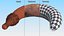 Ottoia Cambrian Sea Worm Fossil