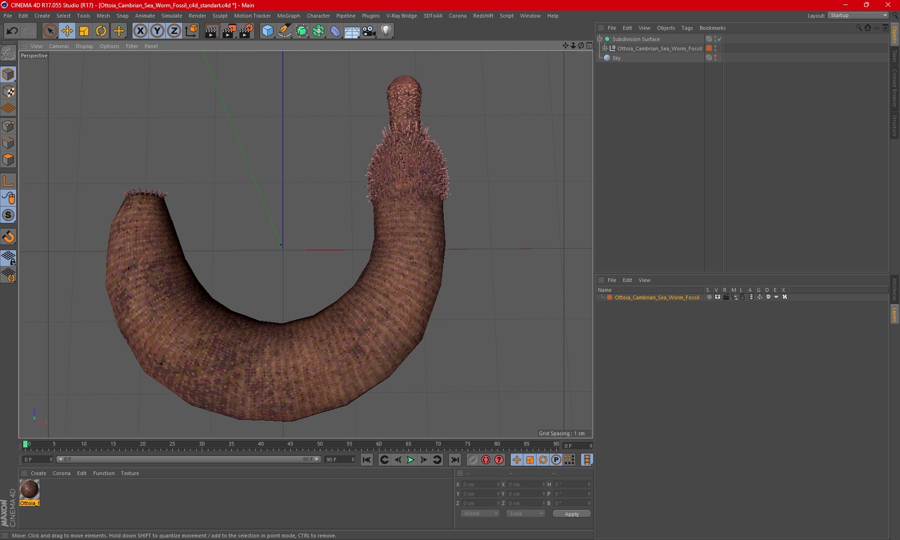 Ottoia Cambrian Sea Worm Fossil 3D model https://p.turbosquid.com/ts-thumb/Wv/xJkAzV/WE/ottoiacambrianseawormfossil3dmodel020/jpg/1705667252/1920x1080/fit_q87/516861dbe343c09d1657c01034b48d34e86e6d1e/ottoiacambrianseawormfossil3dmodel020.jpg