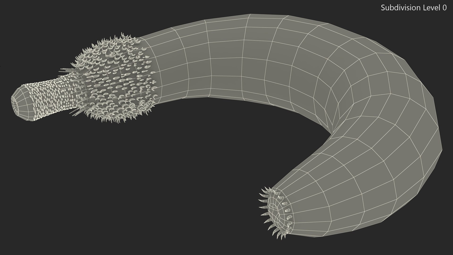 Ottoia Cambrian Sea Worm Fossil 3D model https://p.turbosquid.com/ts-thumb/Wv/xJkAzV/fA/ottoiacambrianseawormfossil3dmodel015/jpg/1705667227/1920x1080/fit_q87/36bccc479f470a02caa58a502fc3122f7e9cdb1d/ottoiacambrianseawormfossil3dmodel015.jpg