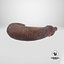 Ottoia Cambrian Sea Worm Fossil
