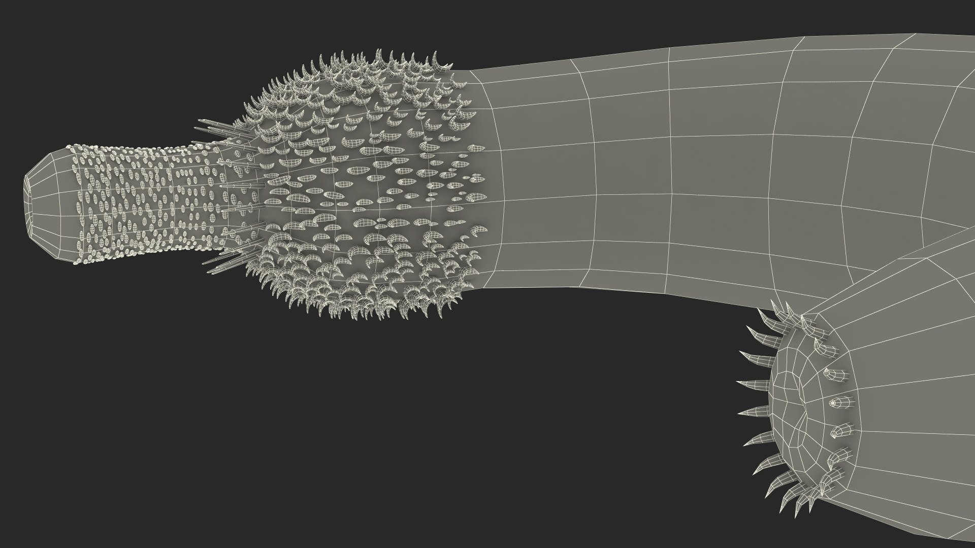 Ottoia Cambrian Sea Worm Fossil 3D model https://p.turbosquid.com/ts-thumb/Wv/xJkAzV/qq/ottoiacambrianseawormfossil3dmodel027/jpg/1705667291/1920x1080/fit_q87/57b2394075e8477b516979819d7e87c1b2c275fa/ottoiacambrianseawormfossil3dmodel027.jpg