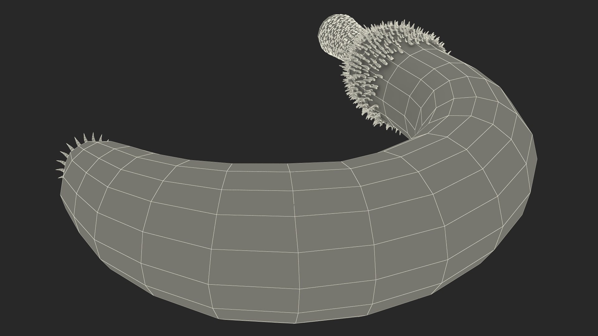 Ottoia Cambrian Sea Worm Fossil 3D model https://p.turbosquid.com/ts-thumb/Wv/xJkAzV/wH/ottoiacambrianseawormfossil3dmodel025/jpg/1705667277/1920x1080/fit_q87/086e55cea5159a6415145c83863f1383419715db/ottoiacambrianseawormfossil3dmodel025.jpg