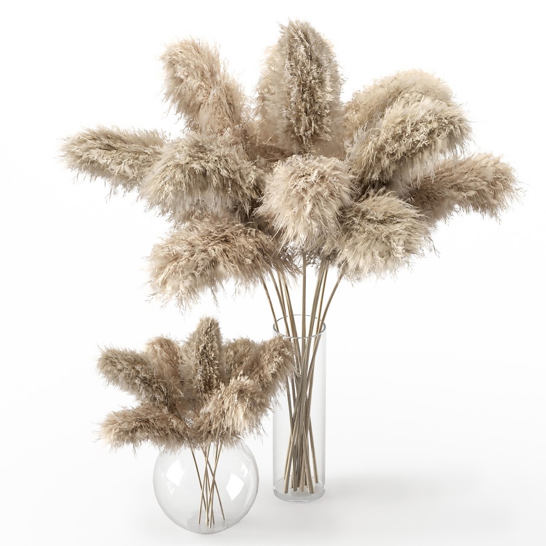 Pampas Grass - Phragmites - Cortaderia Selloana set 01 3D model https://p.turbosquid.com/ts-thumb/Wv/yU1Ra6/ZF/preview02/jpg/1678530890/1920x1080/fit_q87/788f21c4bde92f12d1419d118292a059a883b6cc/preview02.jpg