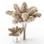 Herbe de la pampa - Phragmites - Cortaderia Selloana set 01
