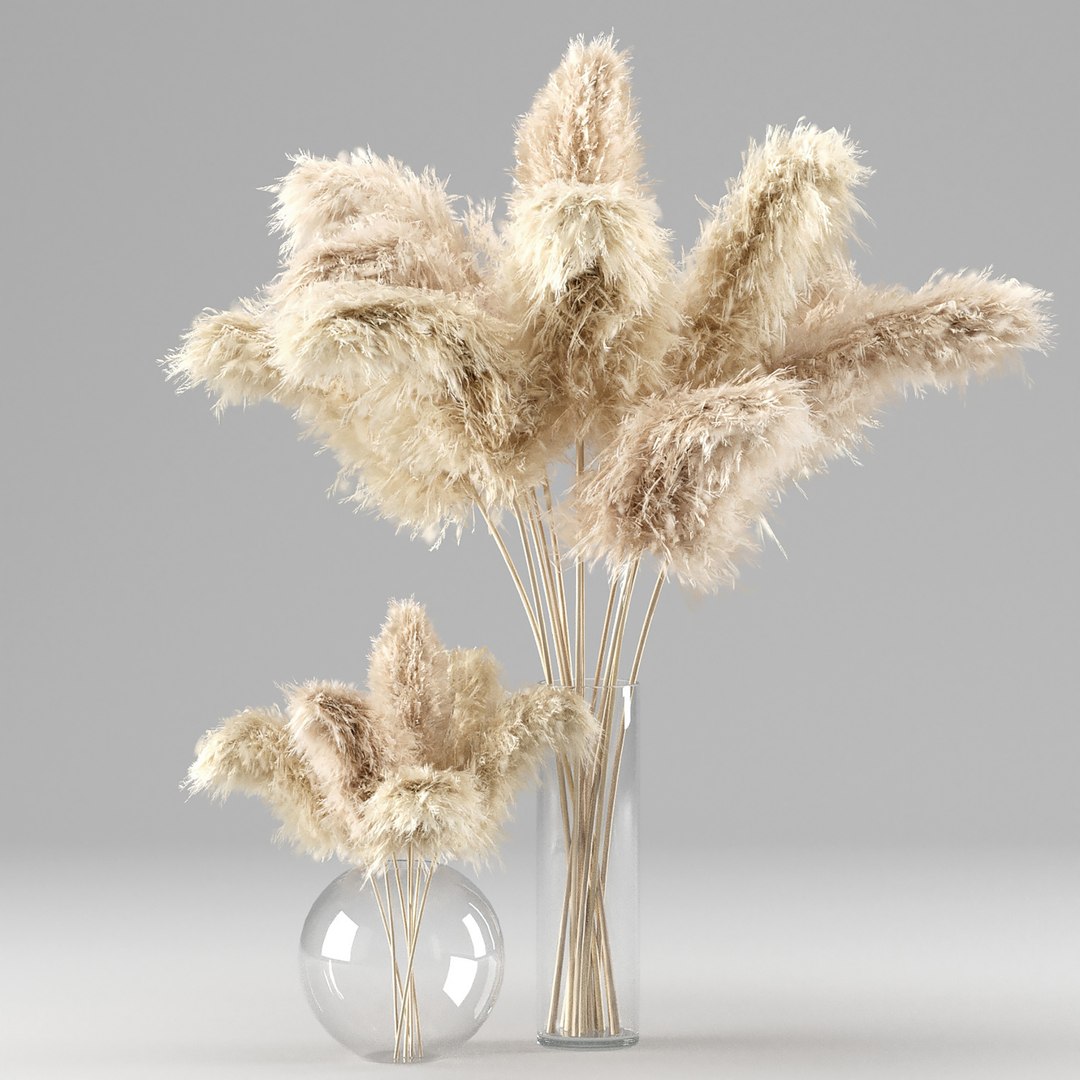 Pampas Grass - Phragmites - Cortaderia Selloana set 01 3D model https://p.turbosquid.com/ts-thumb/Wv/yU1Ra6/kr/preview04/jpg/1678530890/1920x1080/fit_q87/caf2733ab9b4ef7ce2882f1da2c0f8c2d7e86f99/preview04.jpg