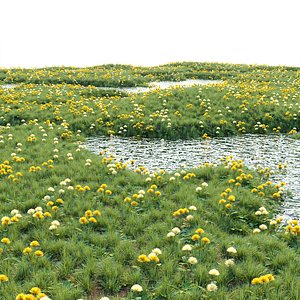 Wild Natural Marshland vol 122 3D model