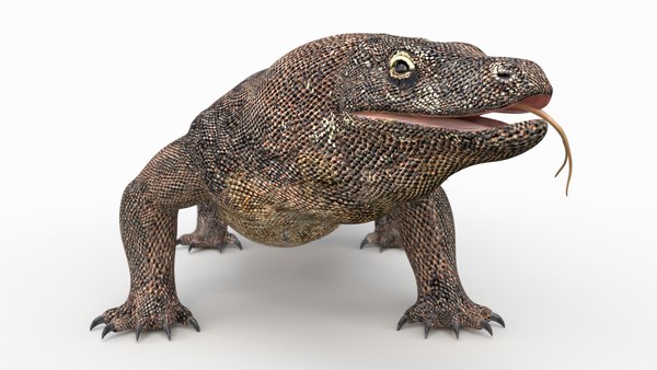 3D komodo dragon rigged - TurboSquid 1560942 3D komodo dragon rigged - TurboSquid 1560942