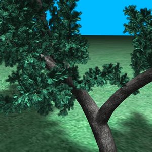 pine_bush01