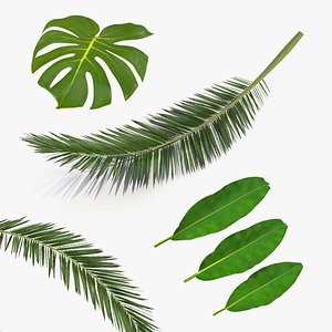 tropical leafs 3D model