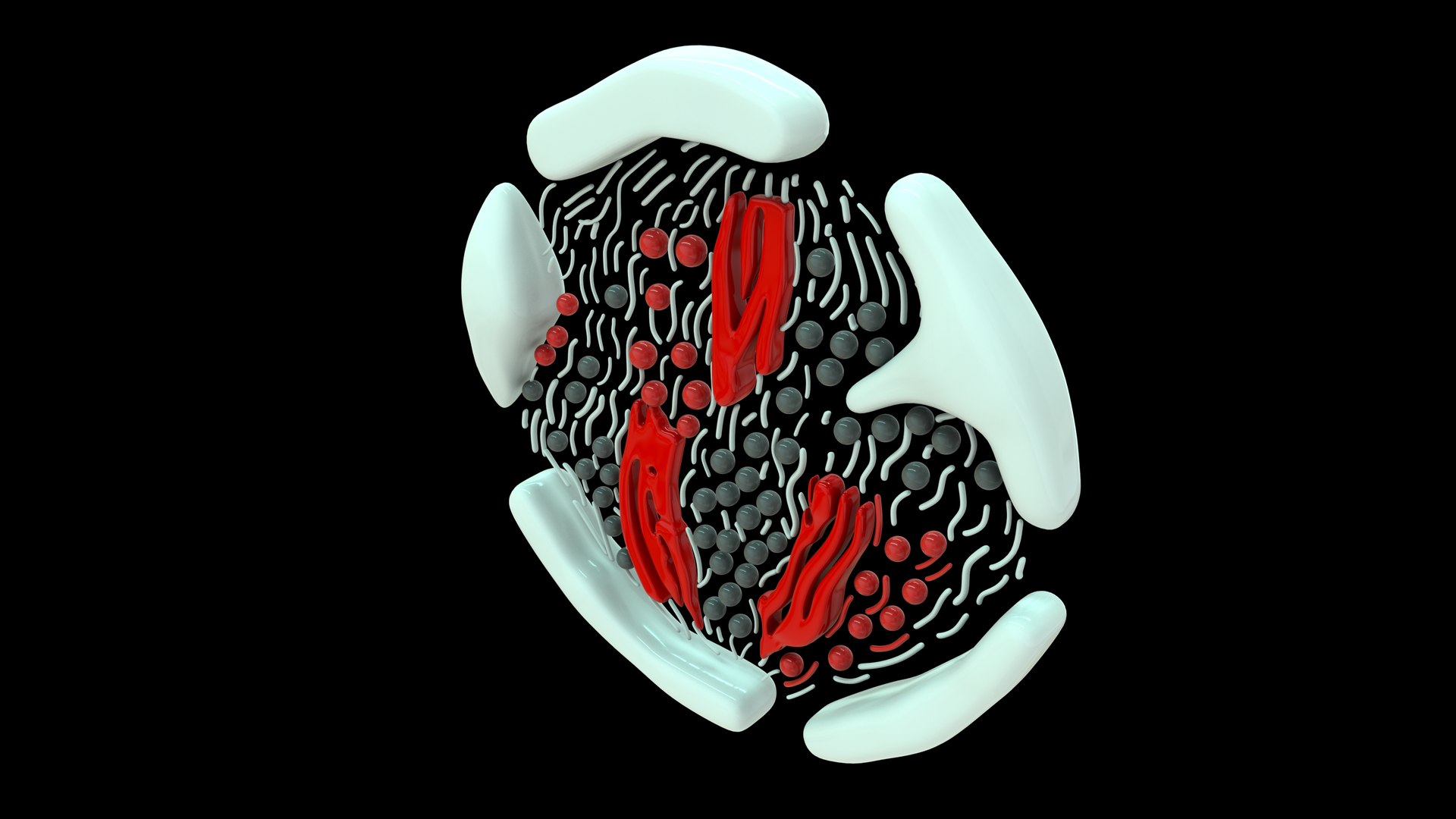 Ultrastructure Of Nucleolus 3D - TurboSquid 2207489