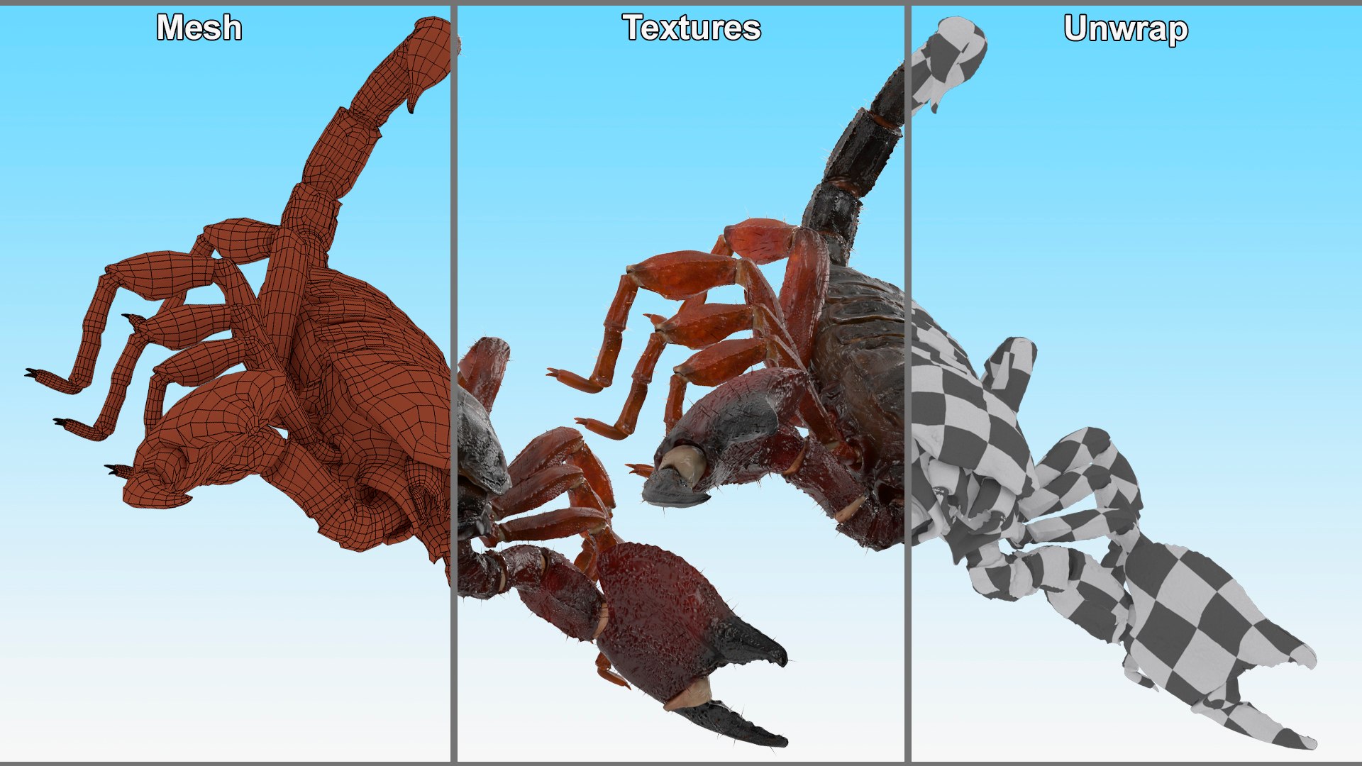 Realistic Scorpion Rigged 3D Model - TurboSquid 2357049