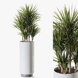 3D Plant 1243