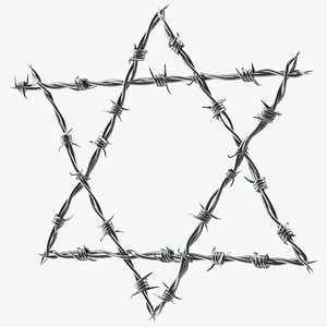 3D model Star of David made from Barbed Wire