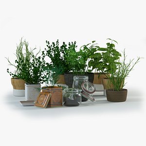 Spice Herbs