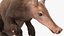 Mamífero africano Aardvark sentado em pose de pele
