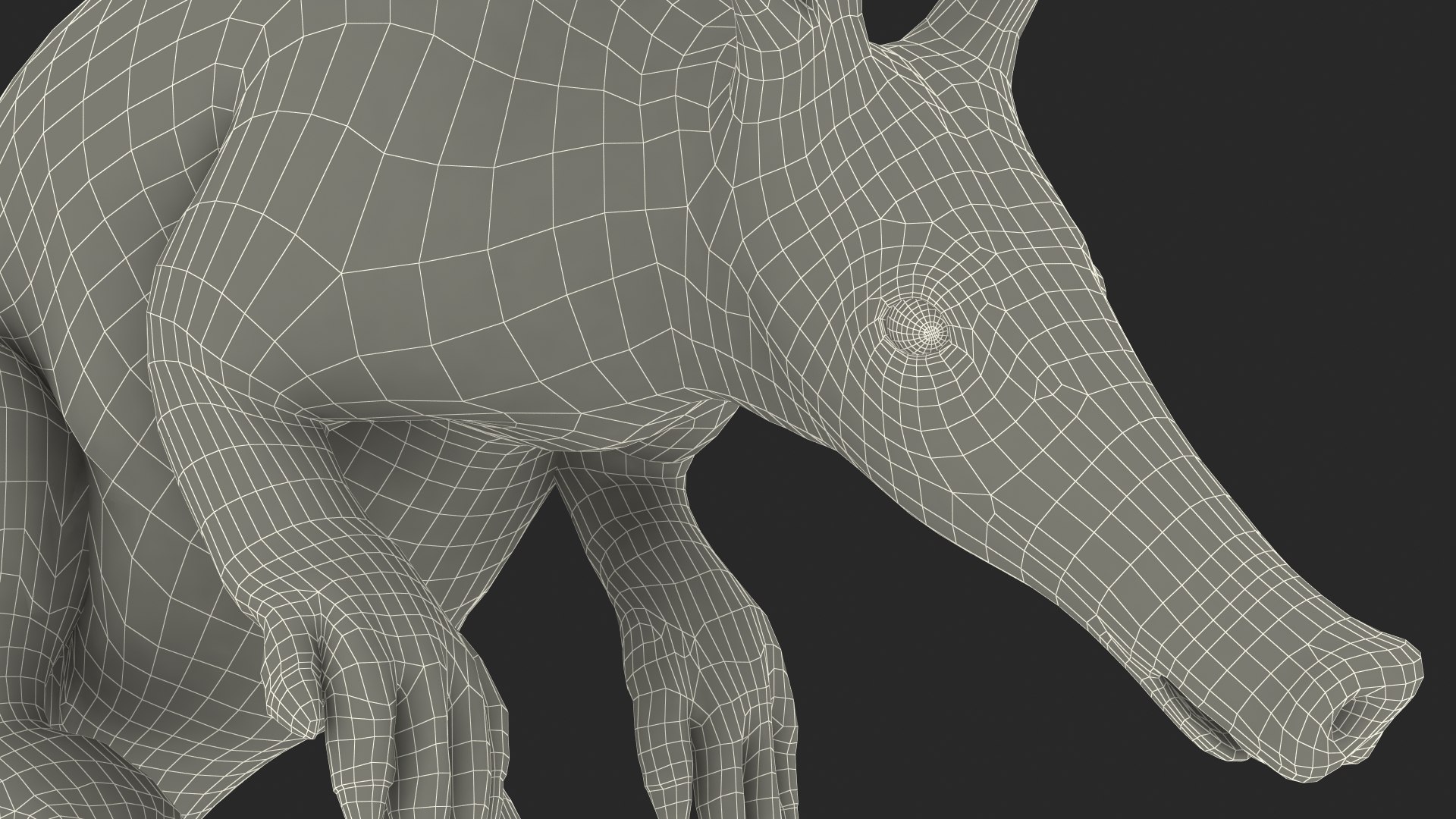 3D African Mammal Aardvark Sitting Pose Fur model https://p.turbosquid.com/ts-thumb/Wx/JtHAnd/Et/africanmammalaardvarksittingposefur3dsmodel031/jpg/1712188462/1920x1080/fit_q87/04ef50a5983342fda19d64528ef682c8c418ed66/africanmammalaardvarksittingposefur3dsmodel031.jpg