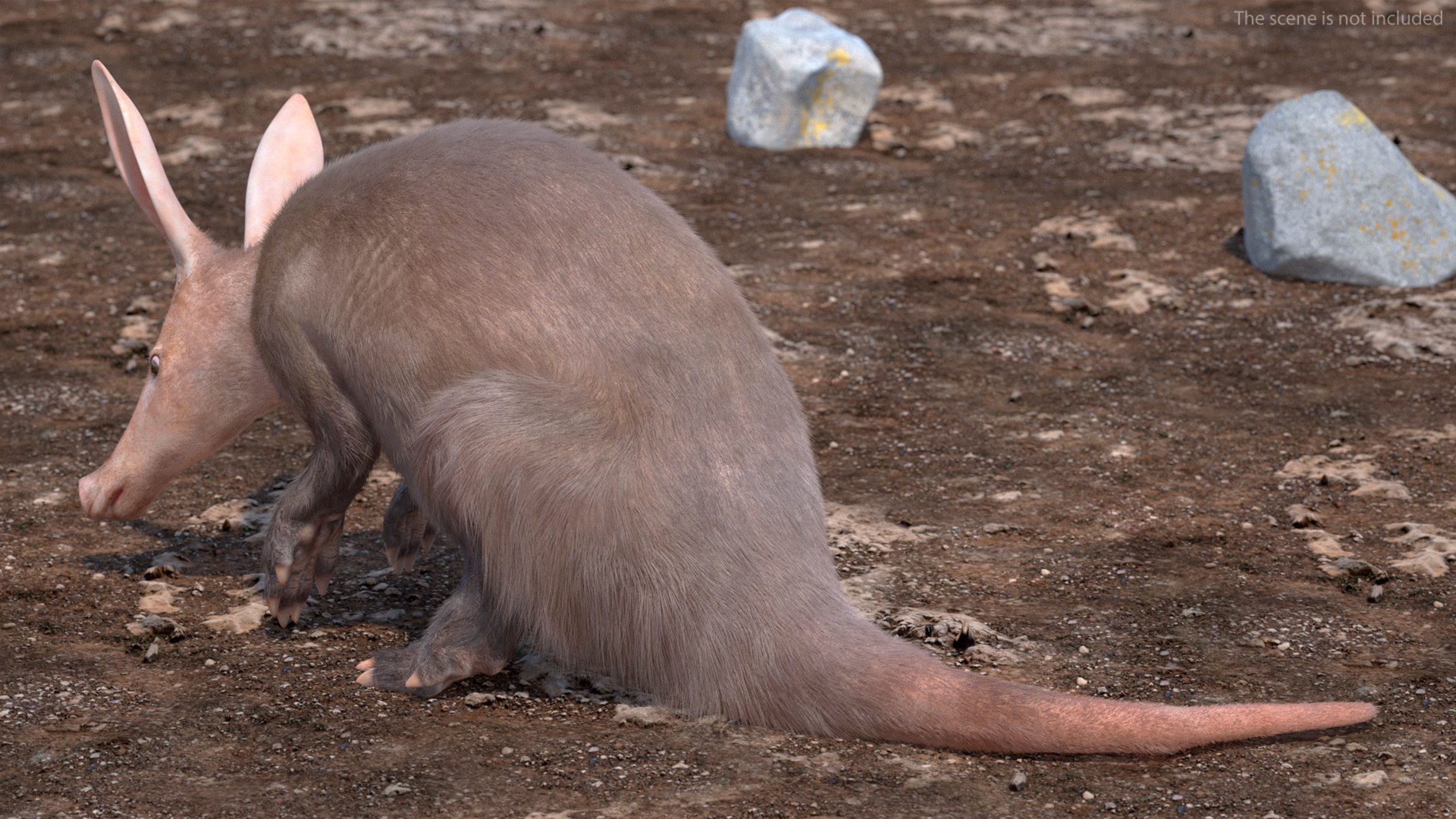 3D African Mammal Aardvark Sitting Pose Fur model https://p.turbosquid.com/ts-thumb/Wx/JtHAnd/L7/africanmammalaardvarksittingposefur3dsmodel005/jpg/1712188329/1920x1080/fit_q87/b6b9cfb2c5d197d0f88d867e49013d586cf90d2e/africanmammalaardvarksittingposefur3dsmodel005.jpg