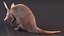 Mamífero africano Aardvark sentado em pose de pele