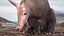 Mamífero africano Aardvark sentado em pose de pele