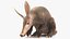 Mamífero africano Aardvark sentado em pose de pele