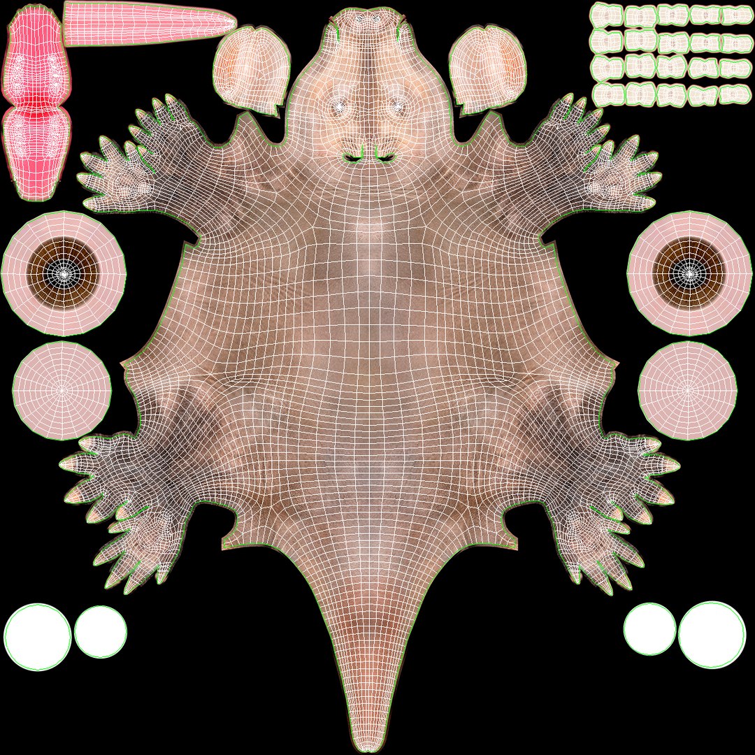 3D African Mammal Aardvark Sitting Pose Fur model https://p.turbosquid.com/ts-thumb/Wx/JtHAnd/To/africanmammalaardvarksittingposefur3dsmodel024/jpg/1712188429/1920x1080/fit_q87/e1afc448902c8857506aa3732d11d5df6167e975/africanmammalaardvarksittingposefur3dsmodel024.jpg