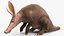 Mamífero africano Aardvark sentado em pose de pele
