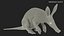Mamífero africano Aardvark sentado em pose de pele