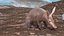 Mamífero africano Aardvark sentado em pose de pele
