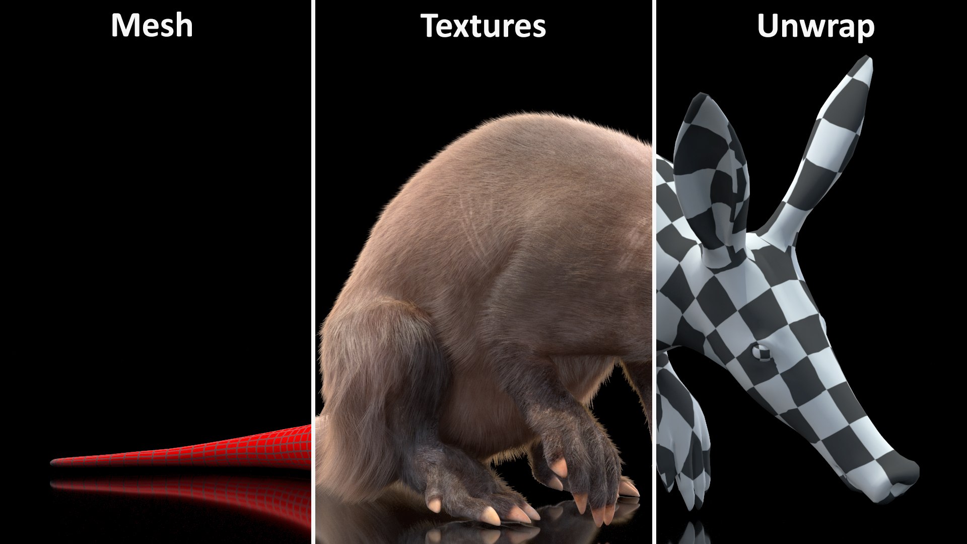 3D African Mammal Aardvark Sitting Pose Fur model https://p.turbosquid.com/ts-thumb/Wx/JtHAnd/oc/africanmammalaardvarksittingposefur3dsmodel021/jpg/1712188415/1920x1080/fit_q87/3968beefc9545c73c9e4722f58cf3edc338c92fd/africanmammalaardvarksittingposefur3dsmodel021.jpg