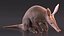 Mamífero africano Aardvark sentado em pose de pele