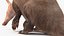 Mamífero africano Aardvark sentado em pose de pele