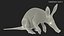 Mamífero africano Aardvark sentado em pose de pele