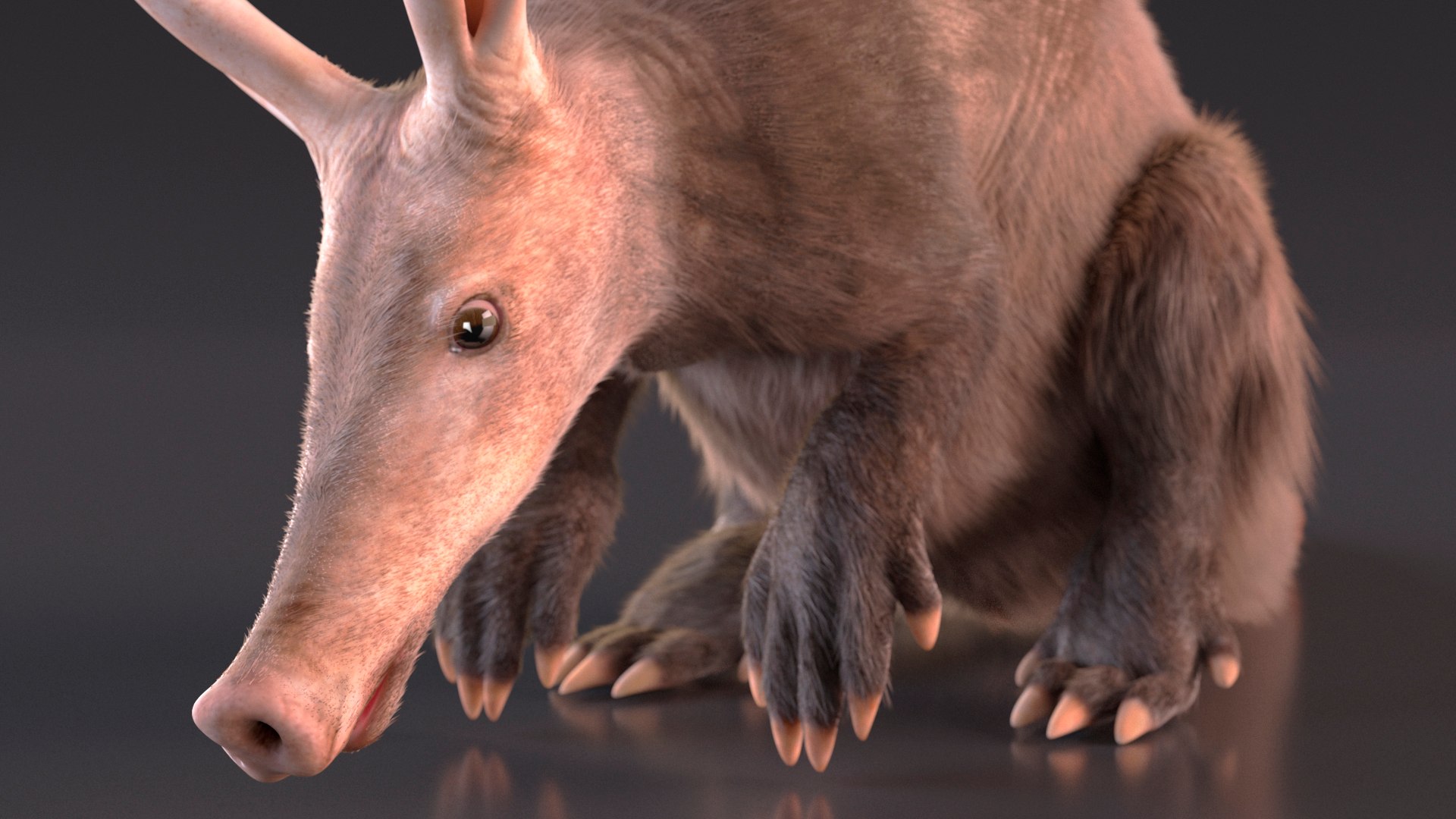 3D African Mammal Aardvark Sitting Pose Fur model https://p.turbosquid.com/ts-thumb/Wx/JtHAnd/wP/africanmammalaardvarksittingposefur3dsmodel010/jpg/1712188359/1920x1080/fit_q87/704179c79520b1d853d33e9af52ded8a2b95a5d3/africanmammalaardvarksittingposefur3dsmodel010.jpg